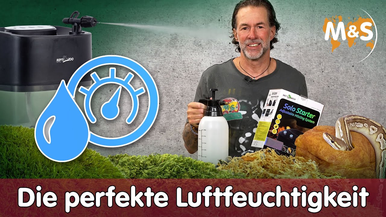 💦 Mein Terrarium ist zu trocken. Was tun? Luftfeuchtigkeit gering!