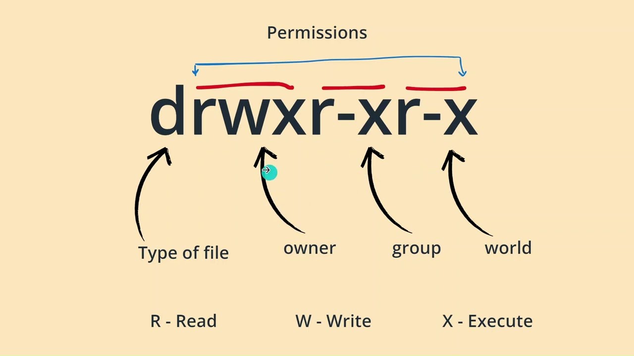 Linux File System explained in detail: A Complete walk through