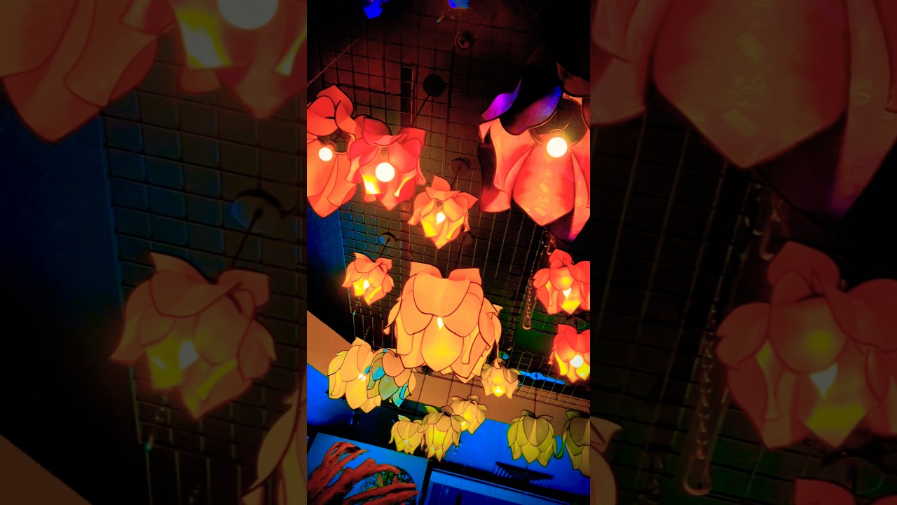 Hammock Elixir Lounge✨ #explore #santacruz #love #holistic #health #hammock #travel #funny #fun #zen