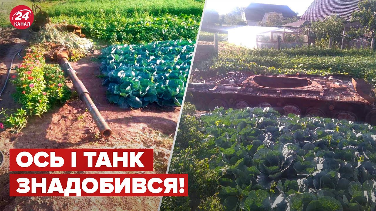 Жінка висадила капусту навколо знищеного танка окупантів