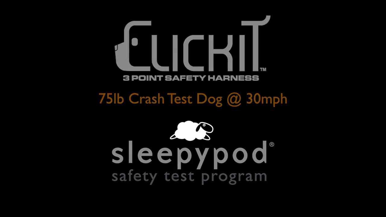 Sleepypod Crash Test Success - Clickit Utility Dog Safety Harness