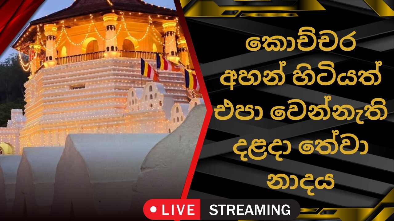 දළදා මාලිගාවේ සවස් තේවා හේවිසි – හදවත පිරිසිදු කරන නාදය 🎵 SIRI DALADA THEWA HEVISI NADAYA #viral