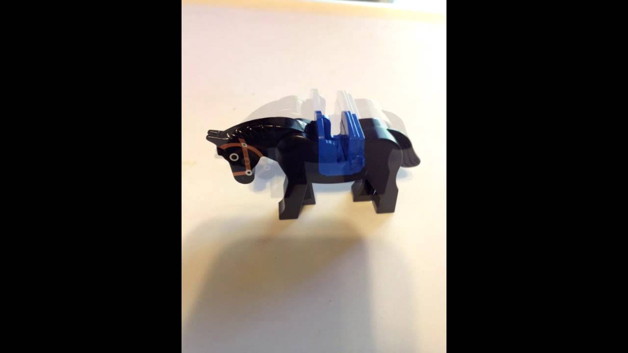 Tiny Tim 2- The Worlds Smallest Horse