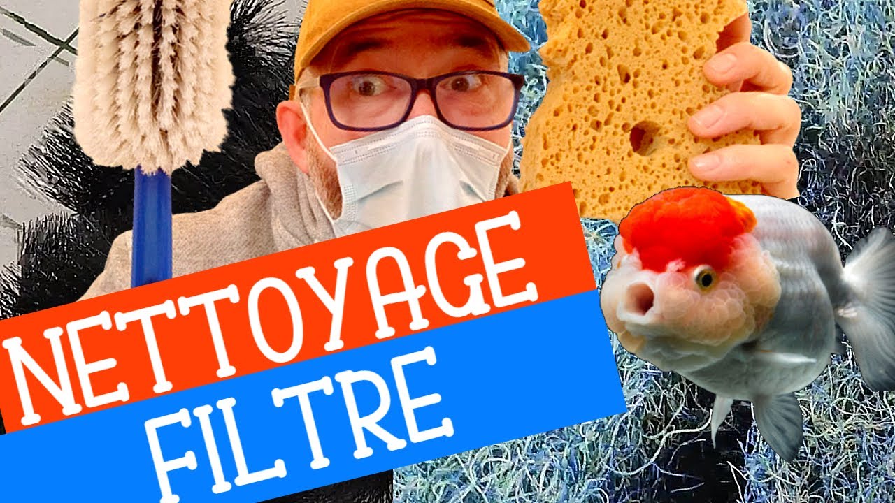 🚿Ce que tu DOIS FAIRE pour nettoyer ta FILTRATION🚿