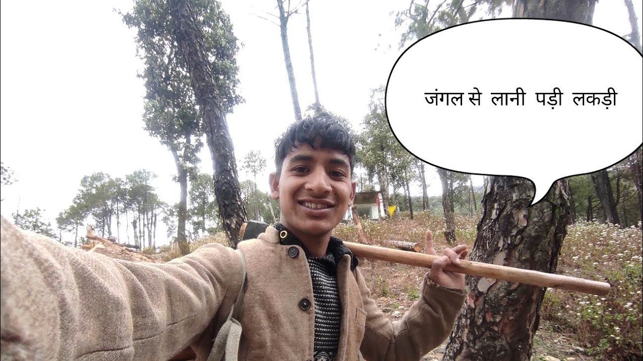  हिमाचल प्रदेश  सिलेंडर  ना मिलने के कारण गर्मियों मै भी     जंगल से  लकड़ी लानी पड़  रही  हैl 