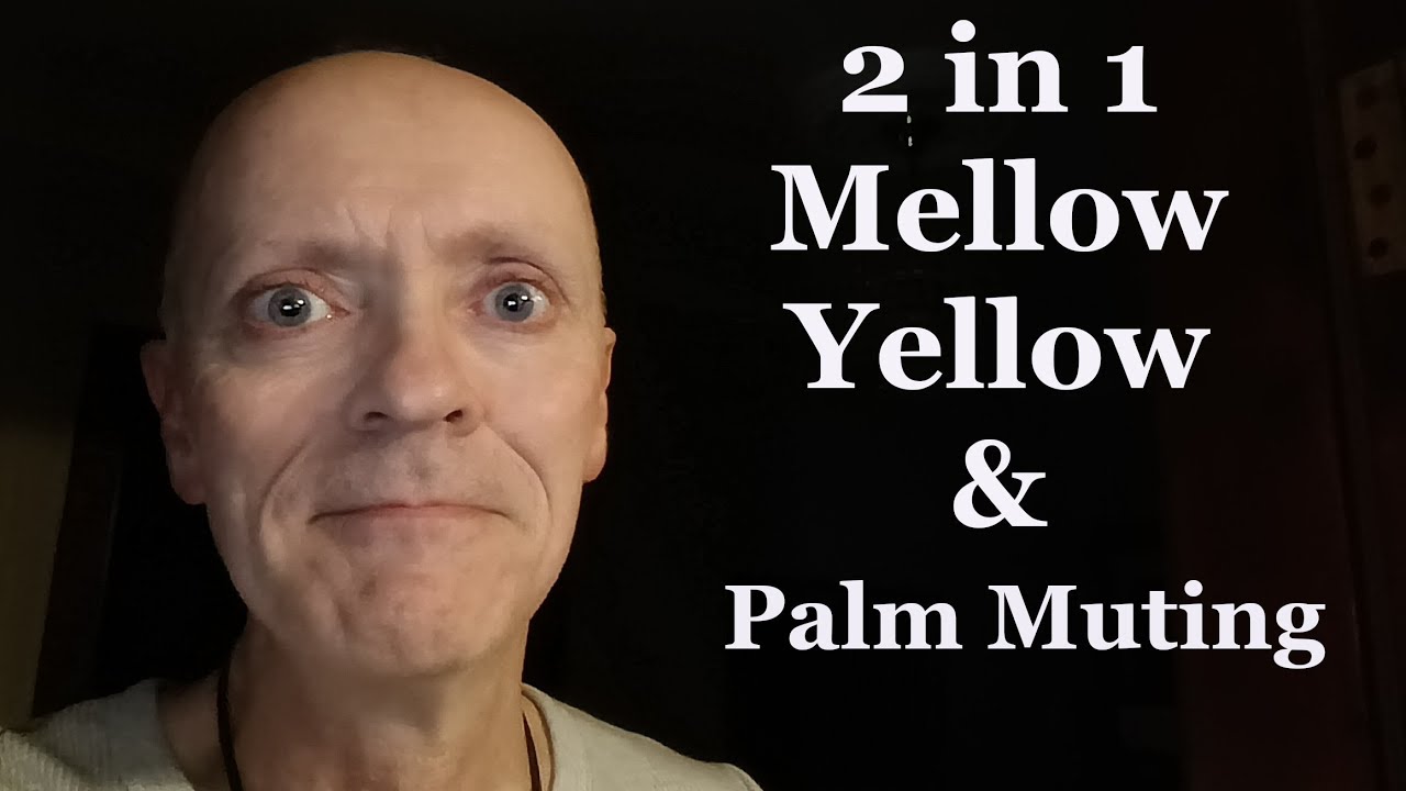 Easy Guitar Lesson   Palm Muting AND Mellow Yellow