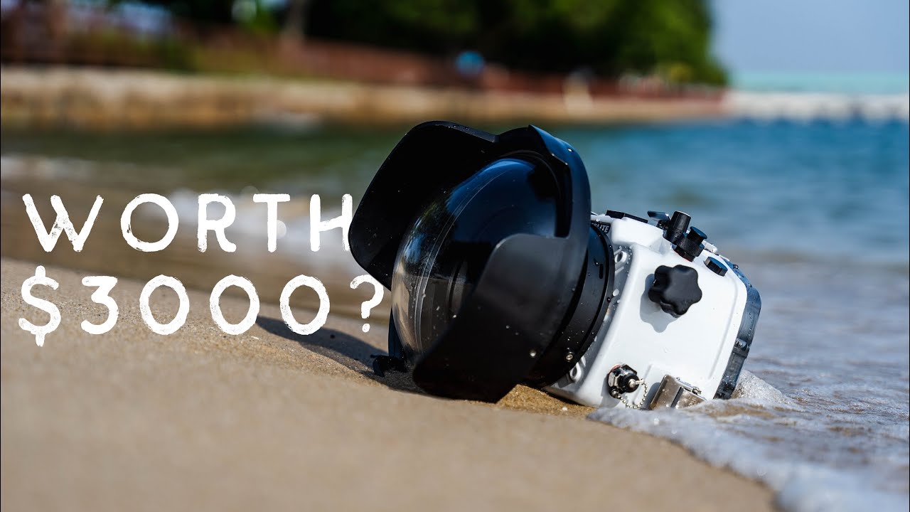 Upgrading to the Ikelite 200DL from the Seafrogs for the A7iii/riii/A9 | Product Comparison Review