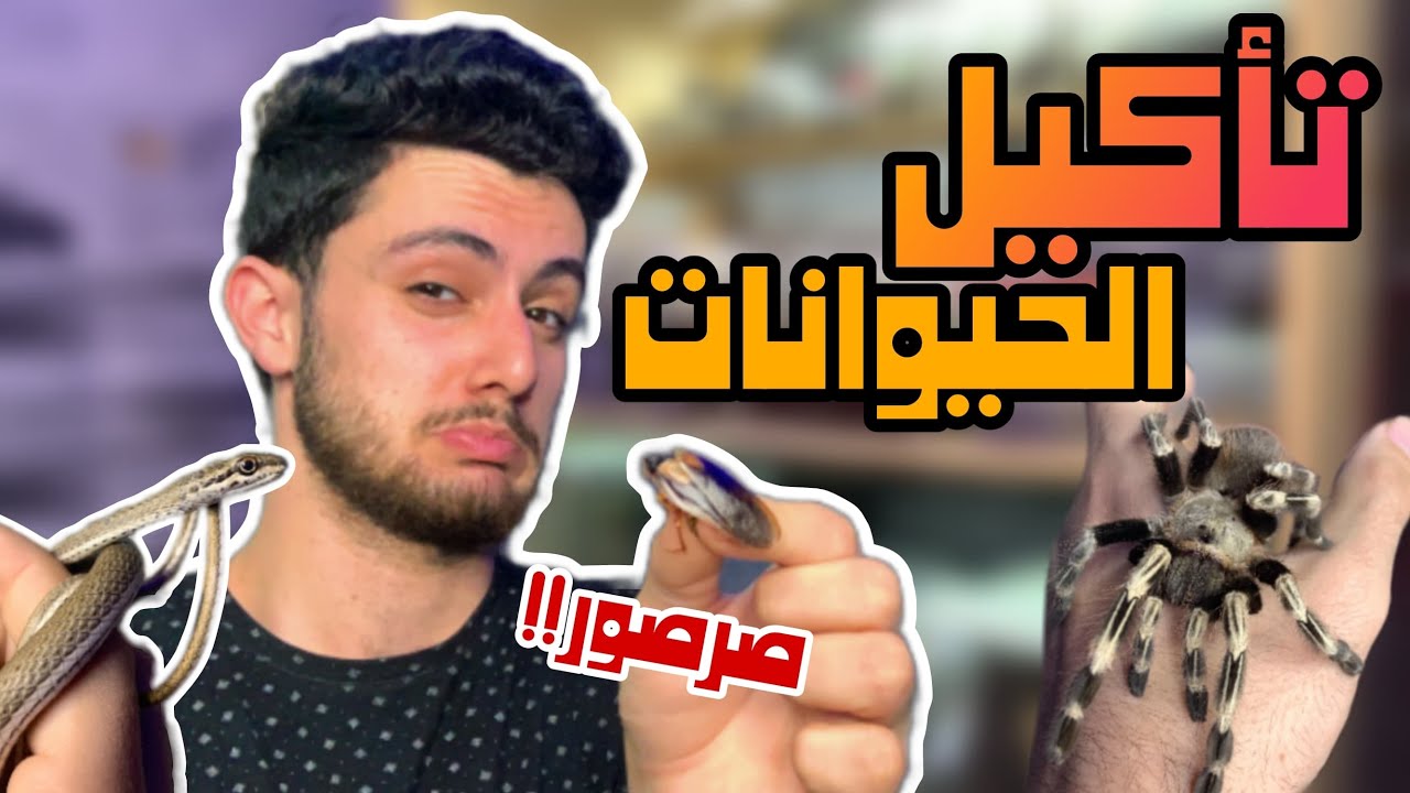 أكَّلت العناكب والزواحف | وحصل حاجات غير متوقعة كالعادة 😬 // بخاف من الصراصير!!
