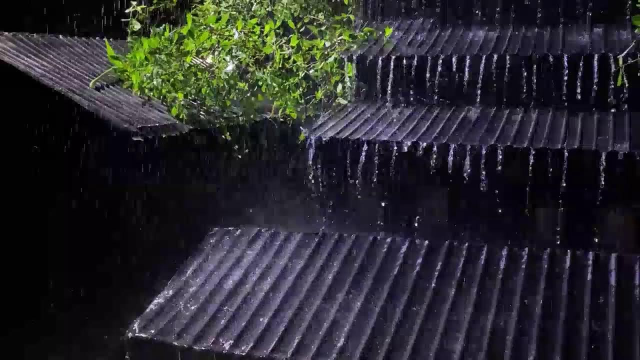 Pure Rain ASMR ⚡ Heavy Rain & Thunder at Night (No Talking)