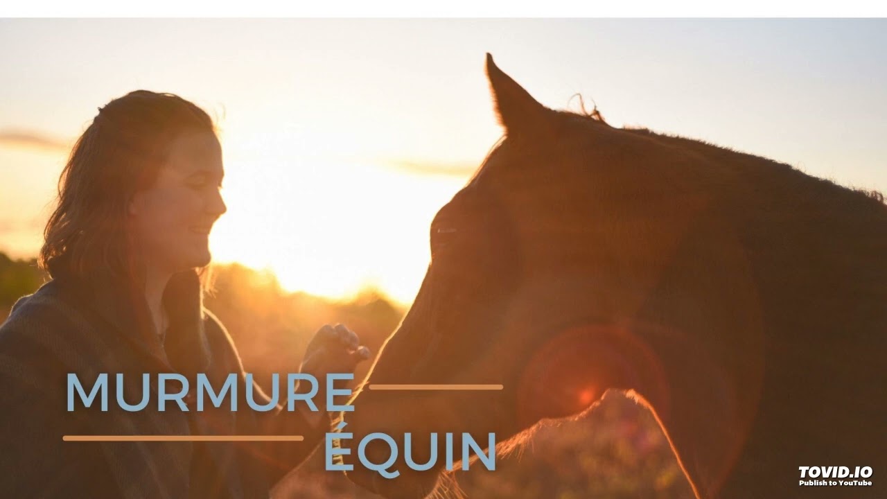 Podcast - 4. Le sport équin - comment muscler son cheval par le jeu