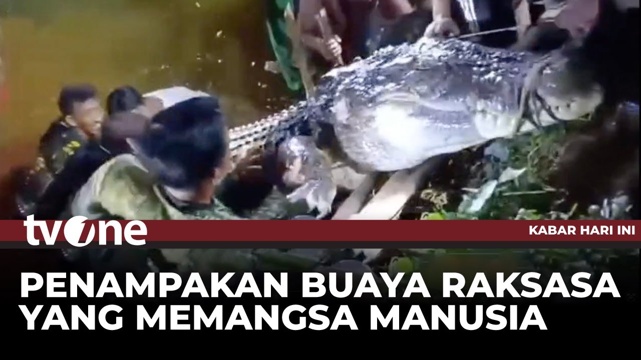 Mandi di Sungai, Seorang Wanita Diterkam Buaya | tvOne