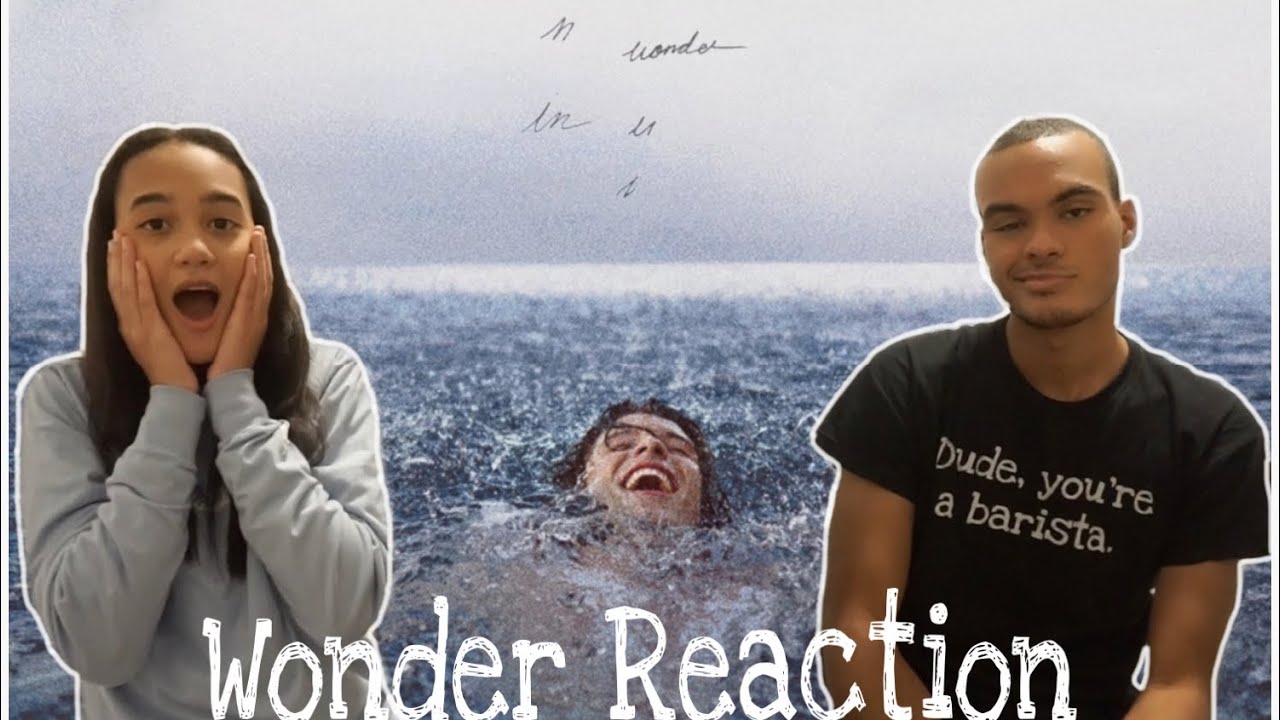 Wonder Shawn Mendes Album Reaction+Review!