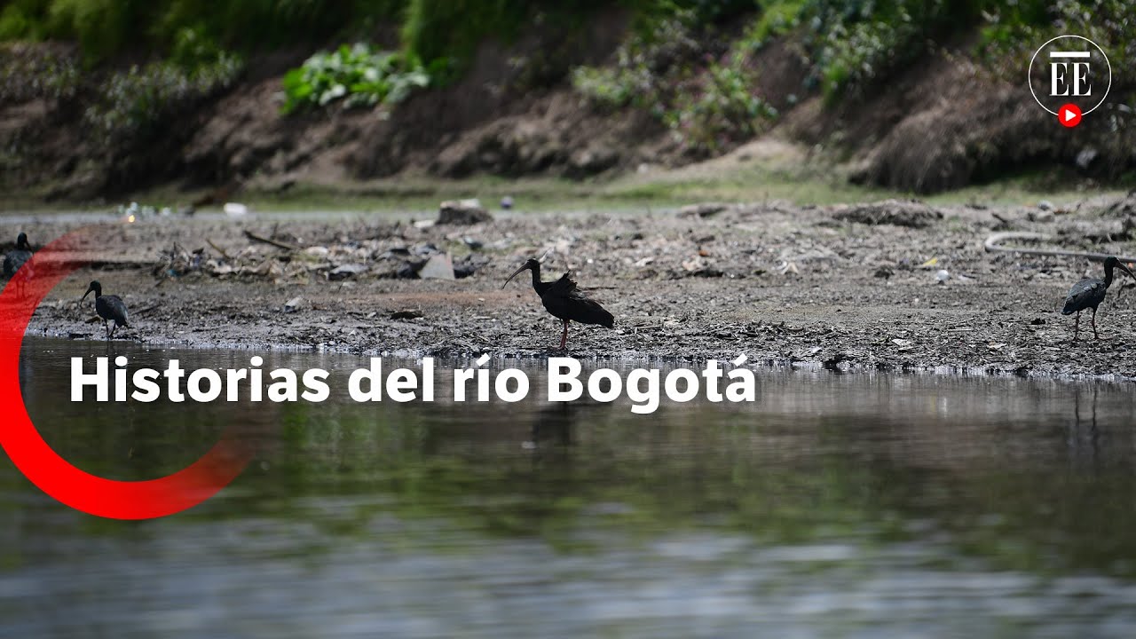 Aguas de vida: historias del r&iacute;o Bogot&aacute; | El Espectador