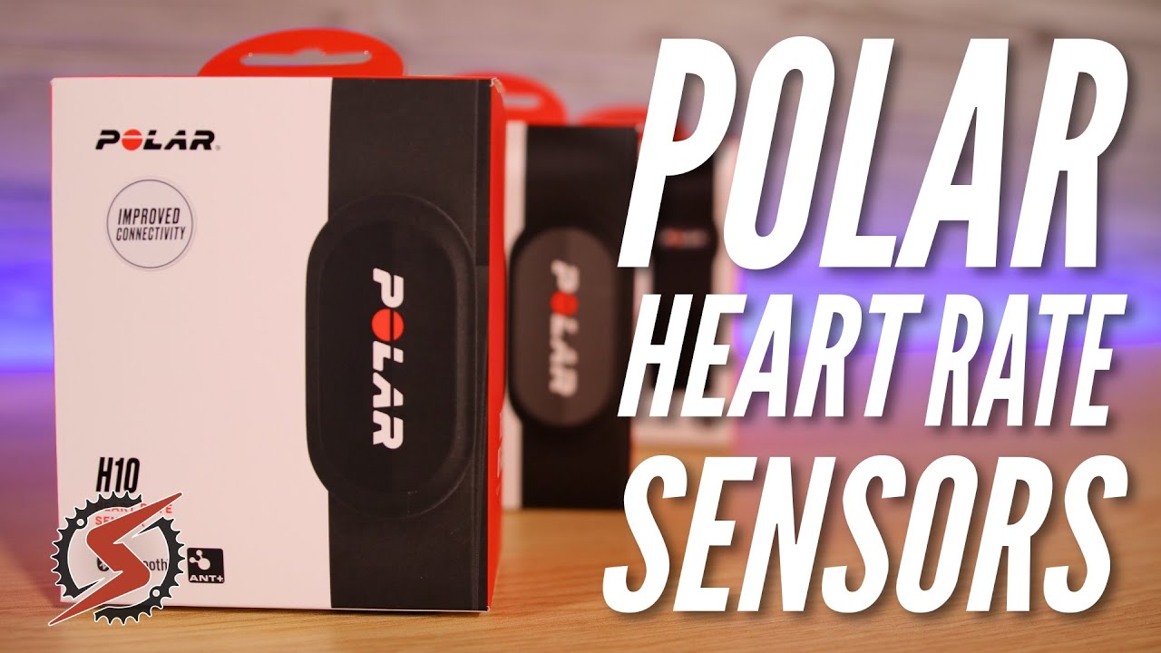 Обзор датчиков сердечного ритма Polar: H10, H9 и OH1 Plus