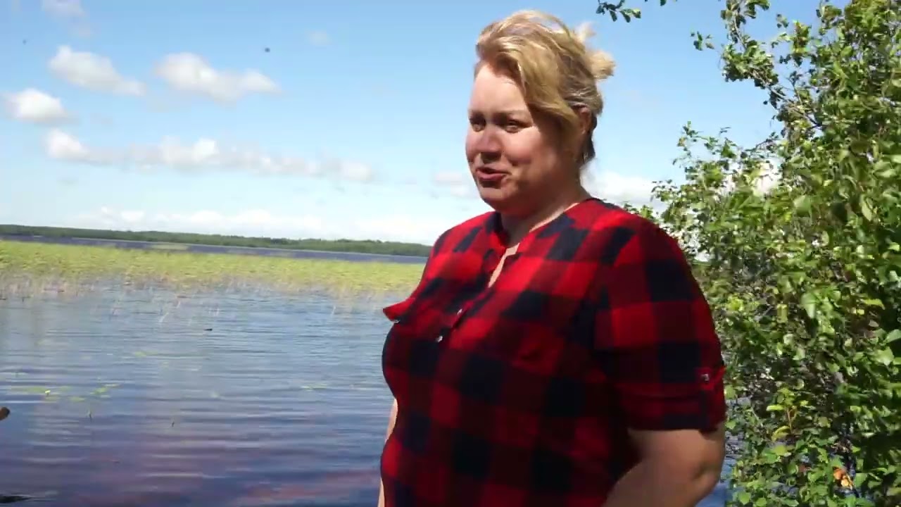 Скажи нет глиноземному заводу на южном берегу Финскому заливу!