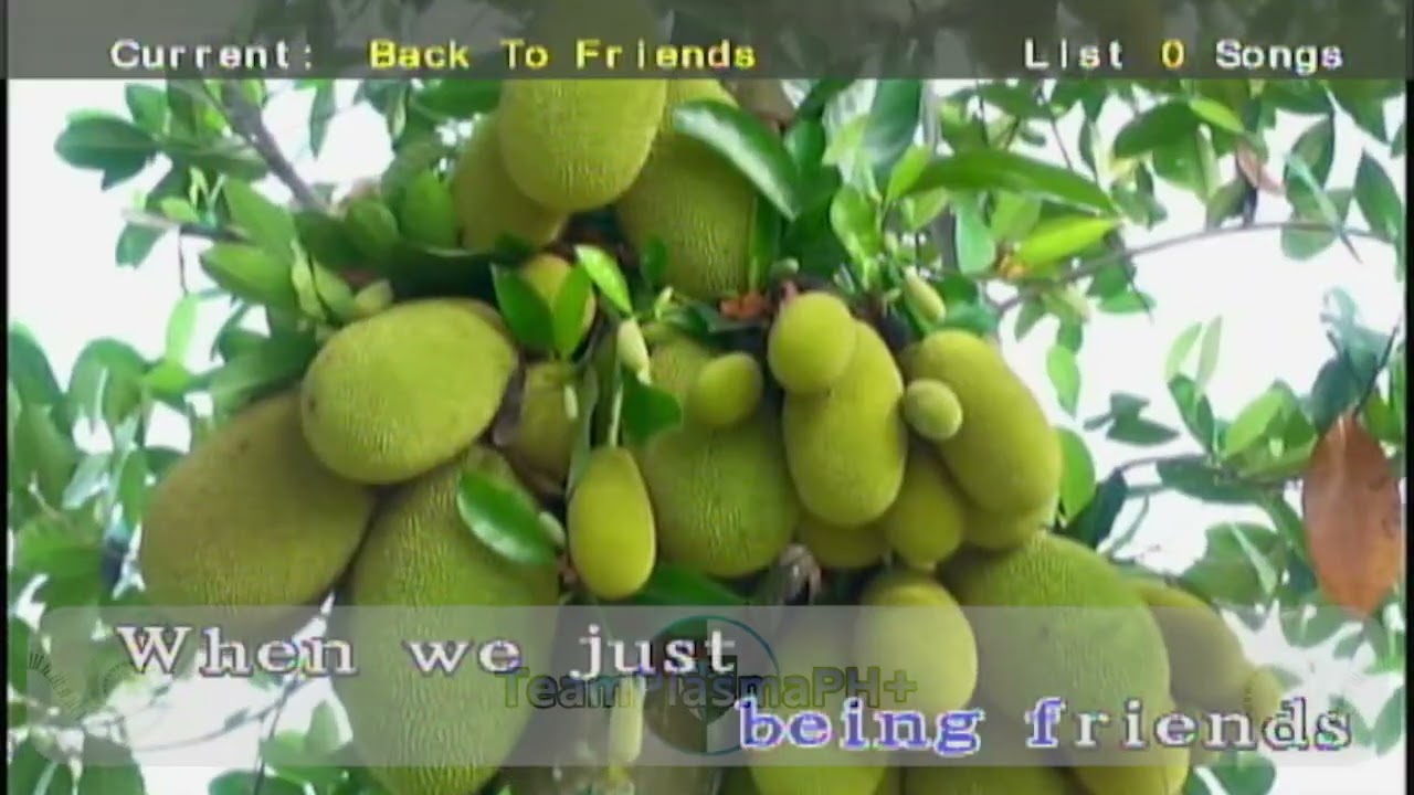 Back To Friends - sombr (Karaoke)