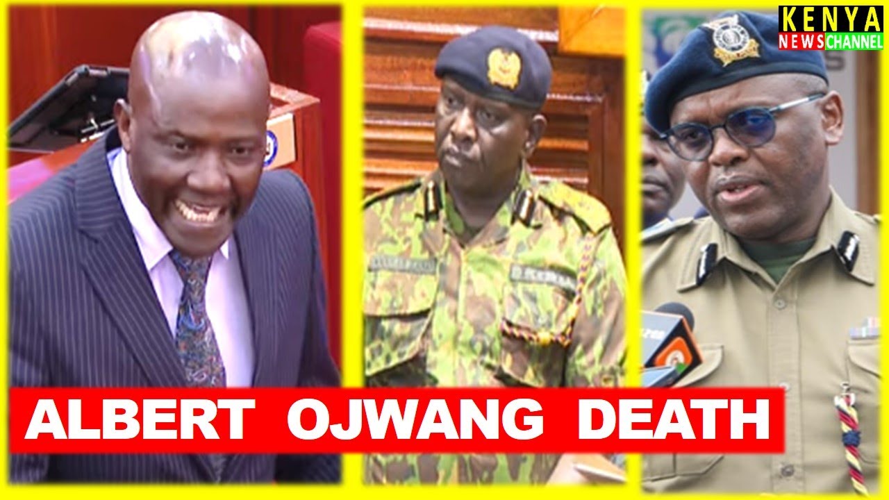 'WHY IS DIG LANGAT STILL IN OFFICE' Angry Senator Nyutu asks IG Kanja on Albert Ojwang Death Senate