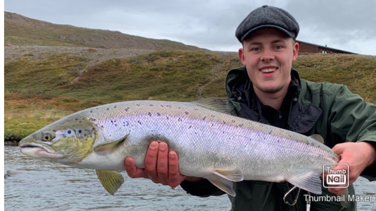 Salmon fishing Iceland -18 salmon caught in three days
