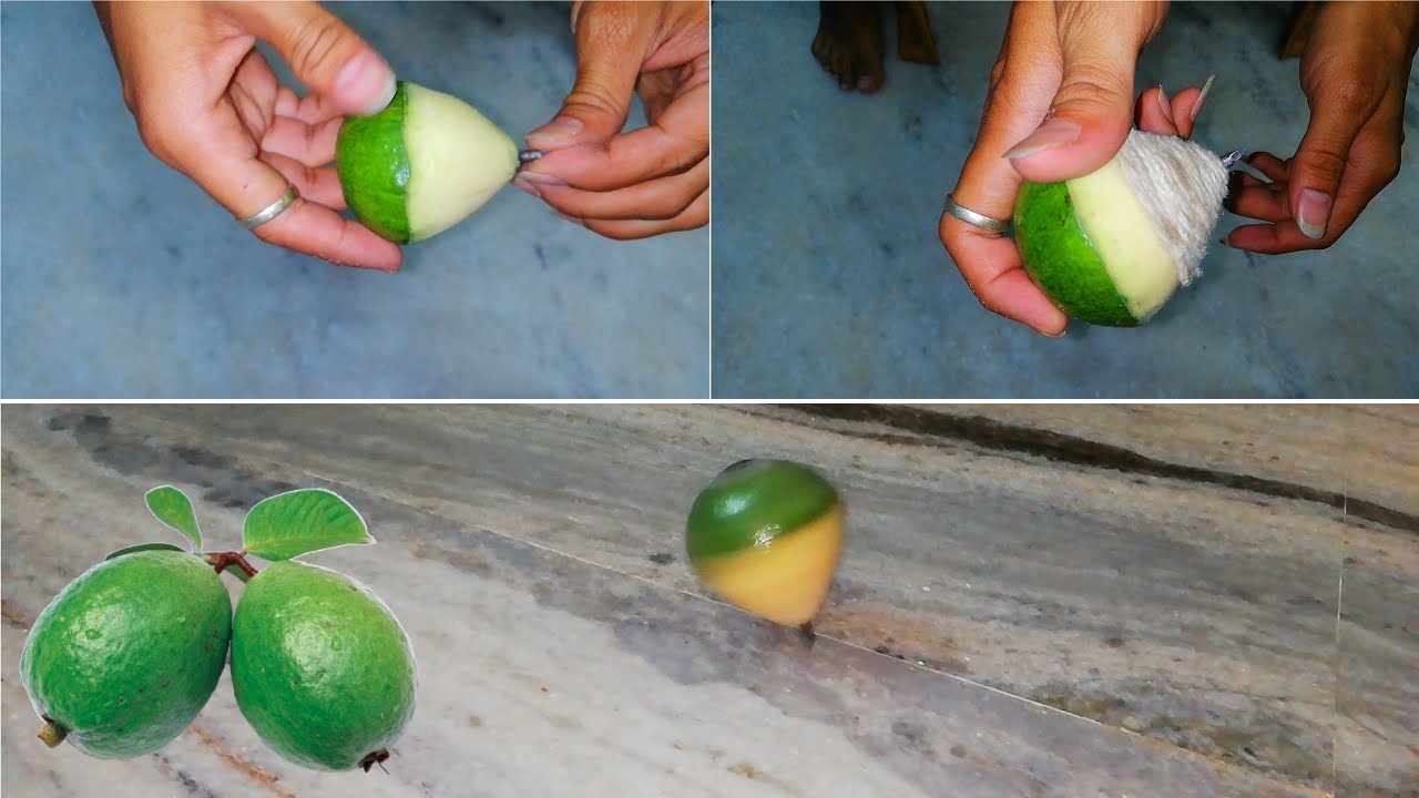 How To Make Spintop Spinner With Guava DIY | Amazing Spintop Diy Toy