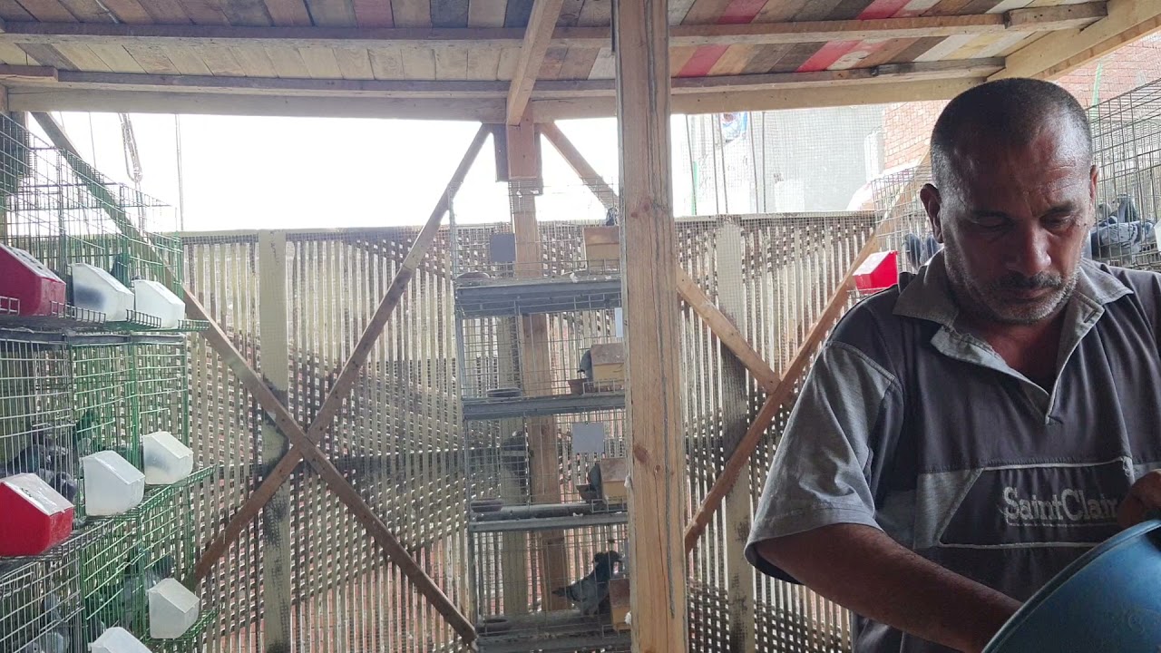 يوميات البطل غرفه الاستوكات