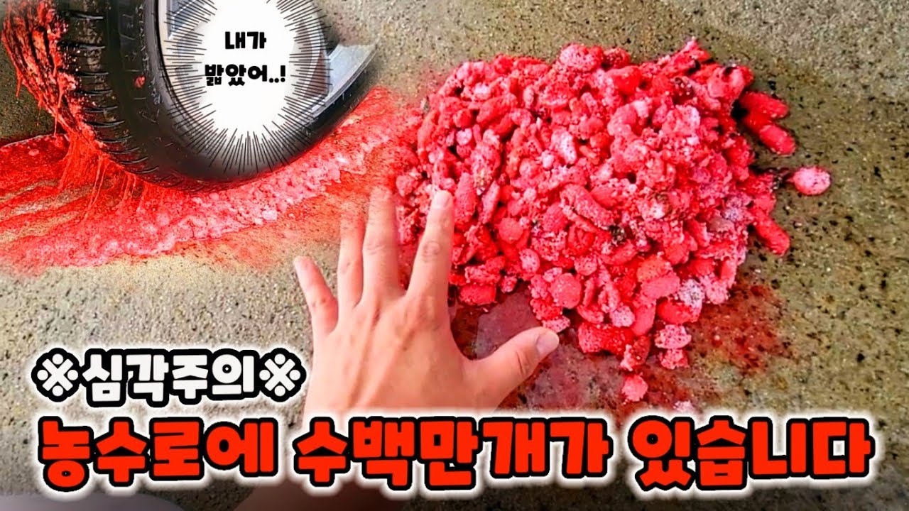 ※심각주의※ 농수로에 수백만개가 있습니다