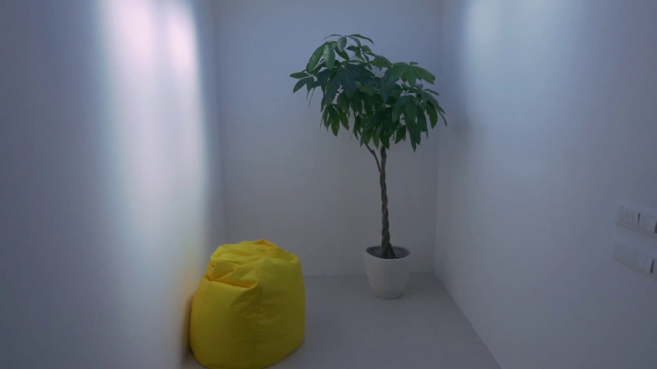 COELUX ||   ST Products Presentation