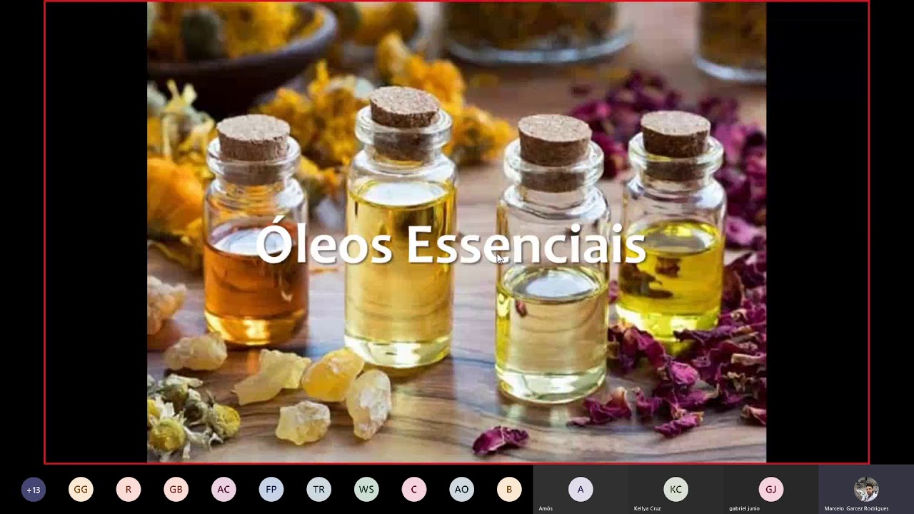 Farmacognosia - Óleos voláteis / Polissacarídeos