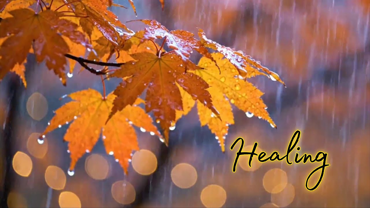 Tranquil Violin, Cello & Piano Melodies ~ Relaxing Music And Rain for Peaceful Moments | Deep Sleep