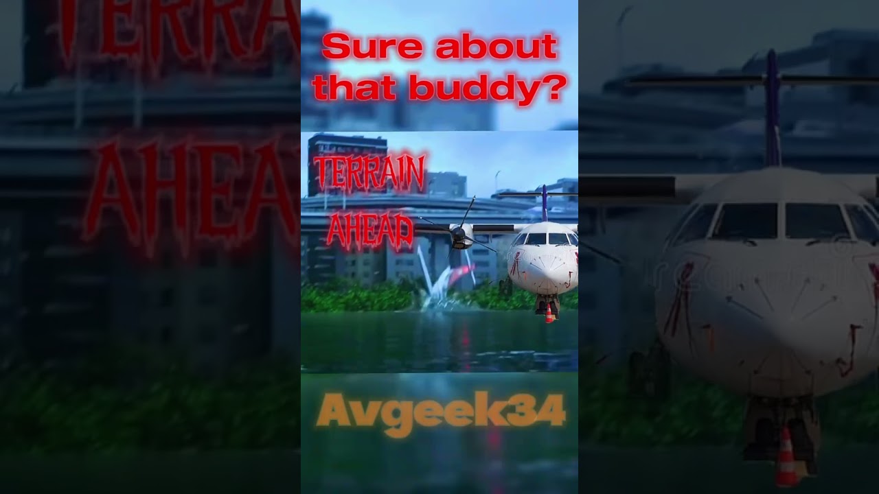 &ldquo;Planes Can&rsquo;t Speak&rdquo; (Credits to @Blue_Barron_843) #shorts #aviation #edit #trending