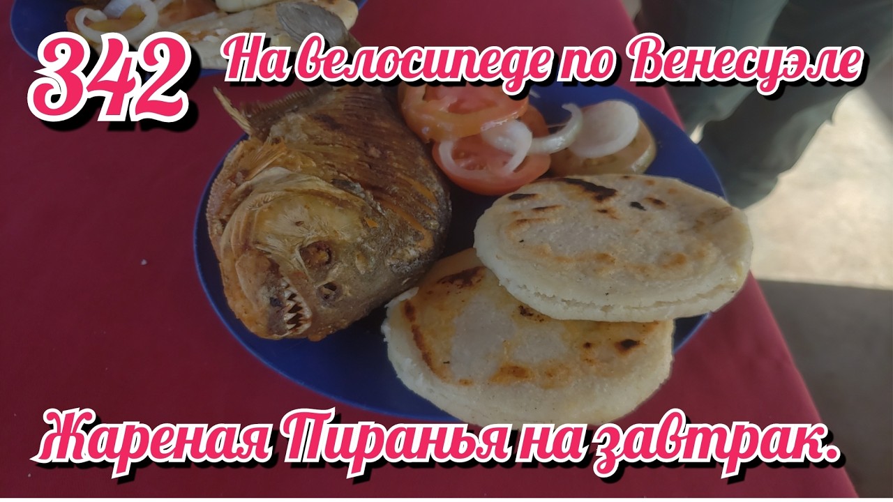 Жареная Пиранья на завтрак. На велосипеде по Южной Америке День 342 Венесуэла