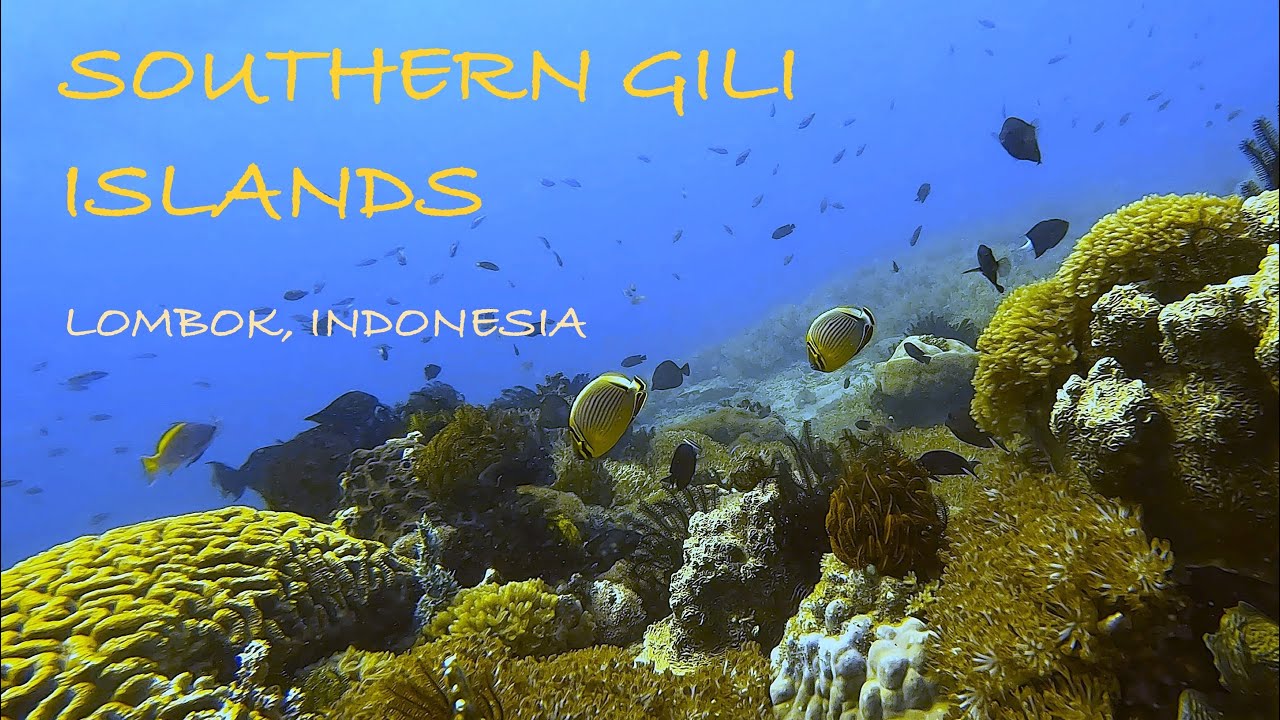 Scuba Diving Gili Gede, Lombok, Indonesia (Batu Puti, Coral Garden, other sites)