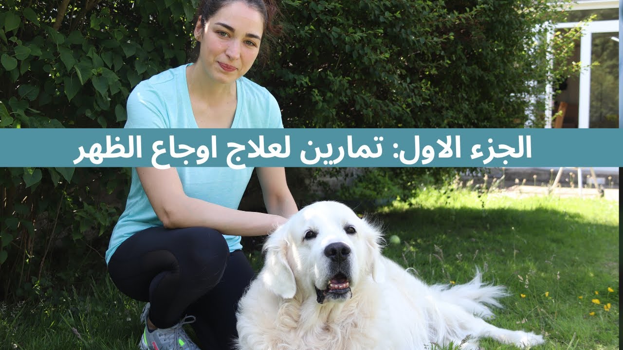 تمارين لعلاج اوجاع الظهر