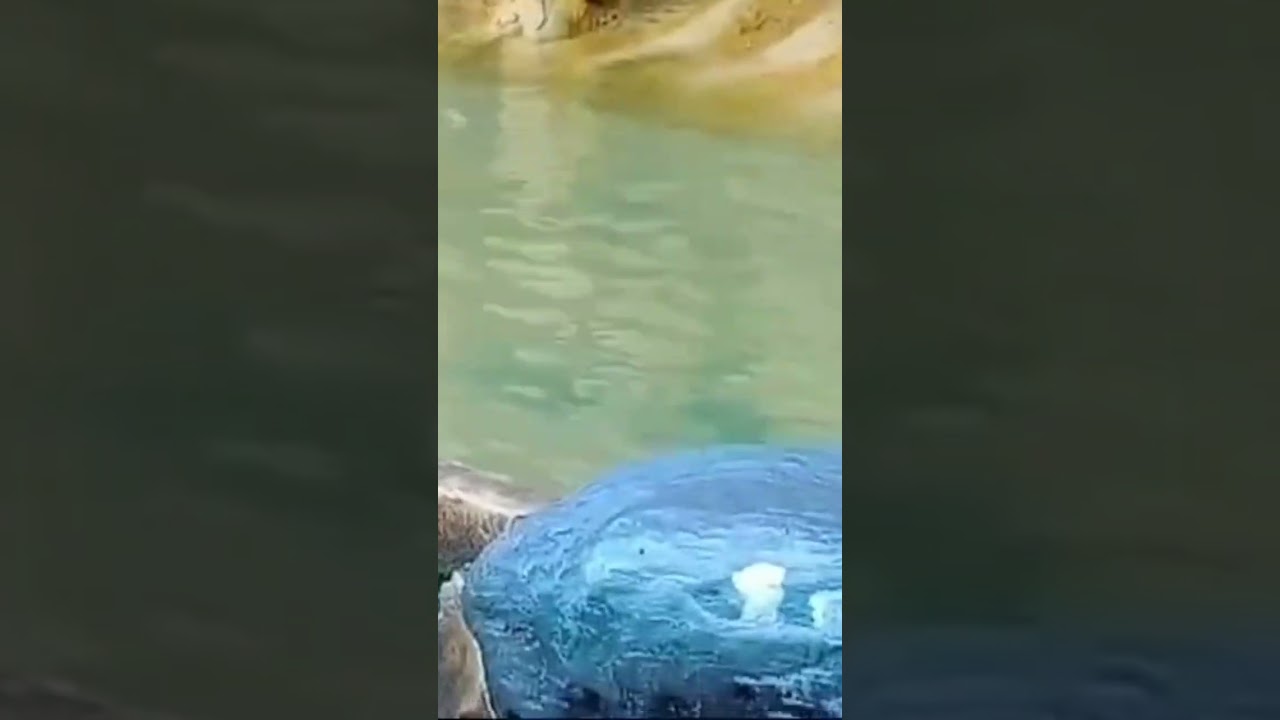 Taman kolam tebing yang indah