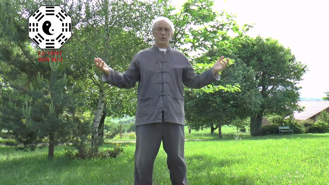 REN MAI - Qi Gong des merveilleux vaisseaux - Ba duan jin - 八段錦 - par Lou Yan