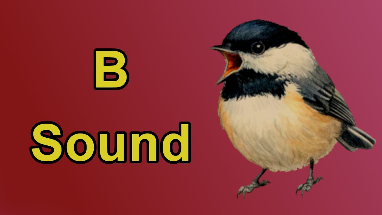 The B Sound Sonnet | Phonemic Awareness Poetry