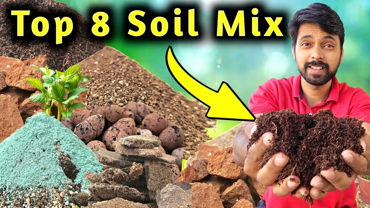 Best Soil Mixture for plants | पौधों के लिए पुरानी से पुरानी मिट्टी बताओ