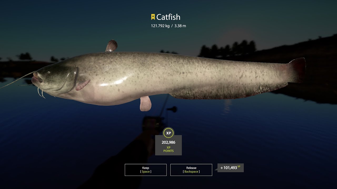 Russian Fishing 4 Trophy Catfish
