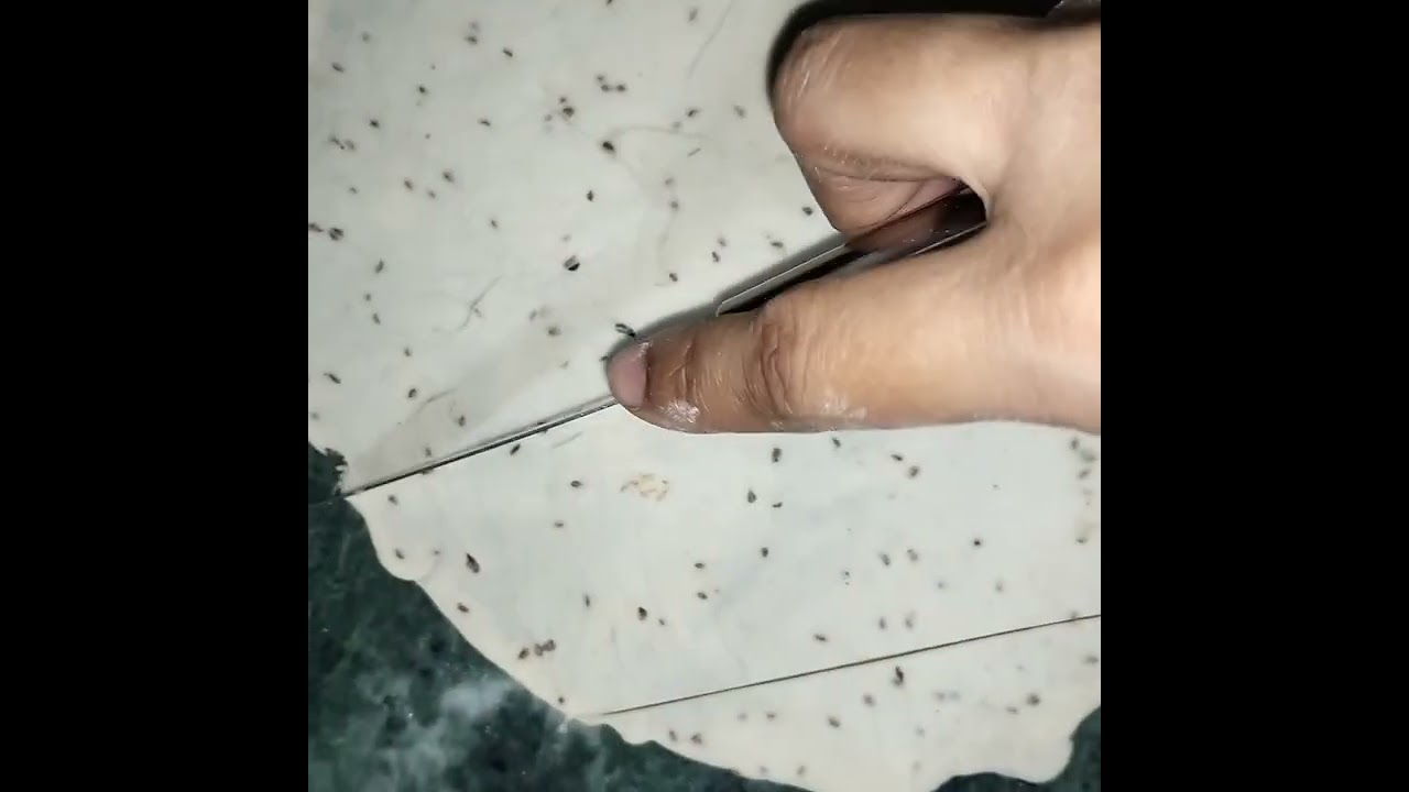 Ramadan Special Namak Para | Iftar Ke Liye Perfect Crispy Snack 🌙