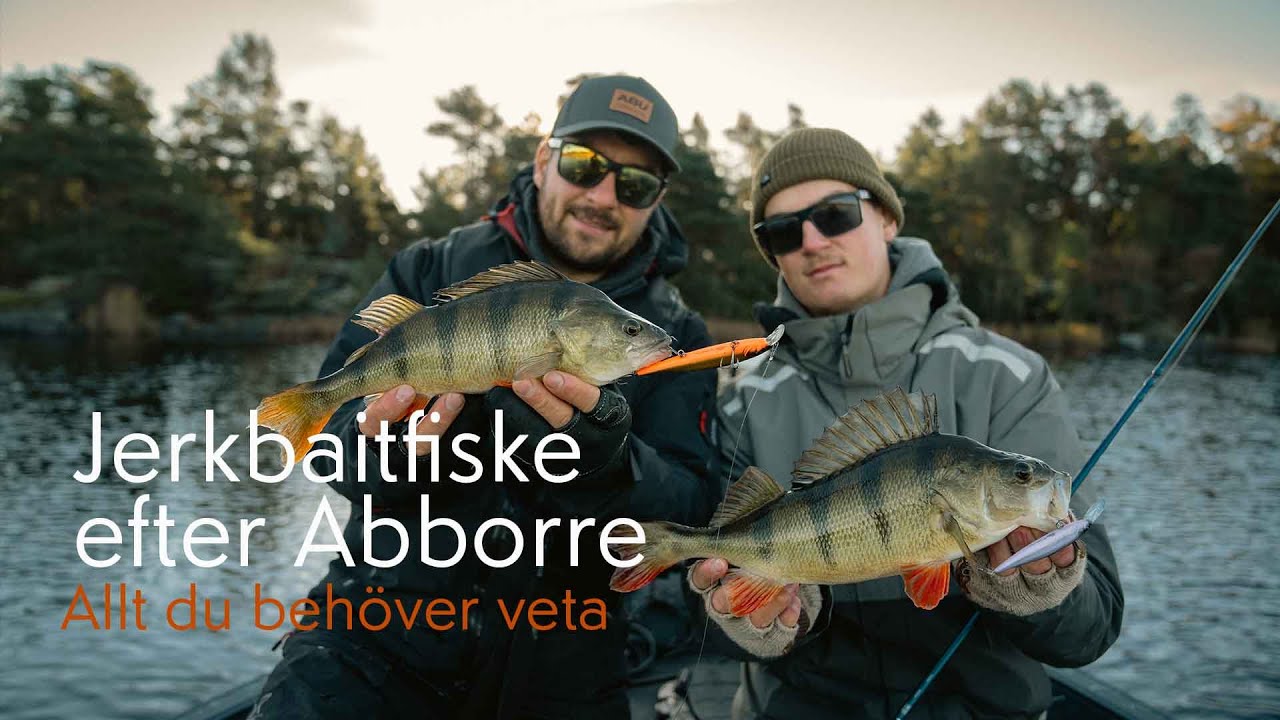 Jerkbaitfiske efter Abborre – Allt du behöver veta för att fånga stora fiskar