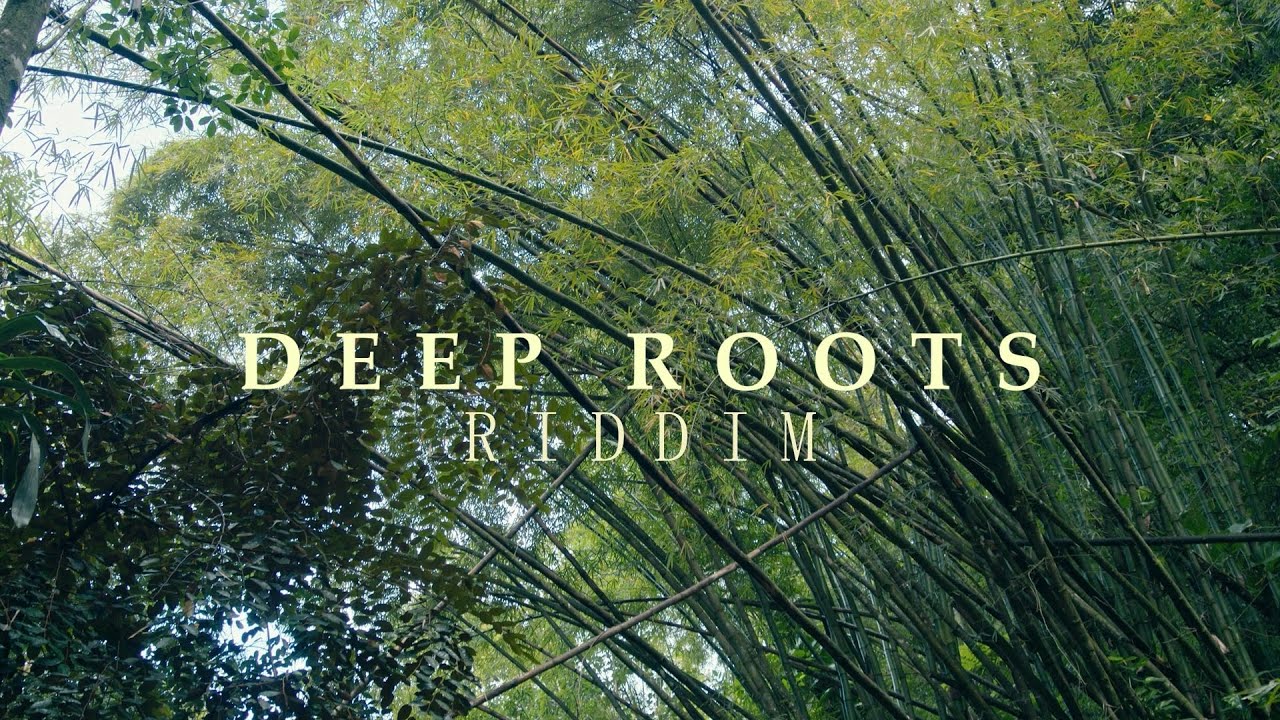 Sinky Beatz - Deep Roots Riddim (Reggae Roots Instrumental)