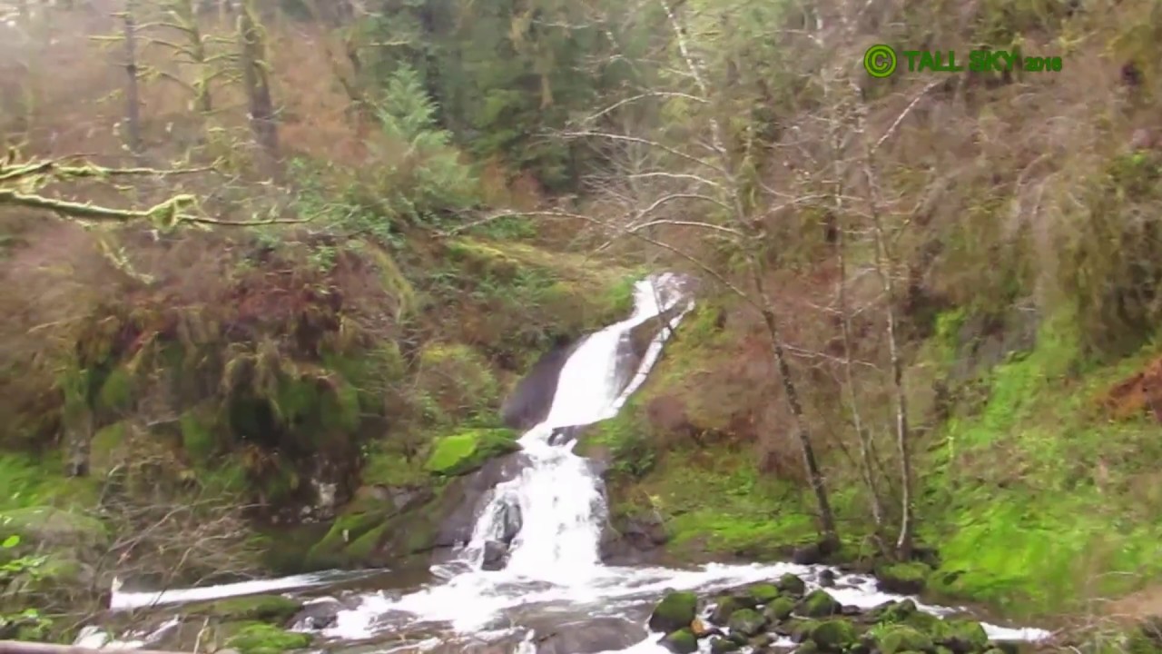 Walk Beside a Forest Stream & Waterfalls/44min