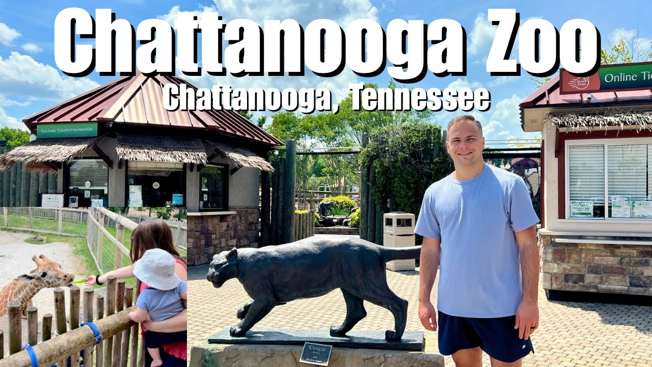 Chattanooga Zoo | Chattanooga, Tennessee | Walking Tour | 4k