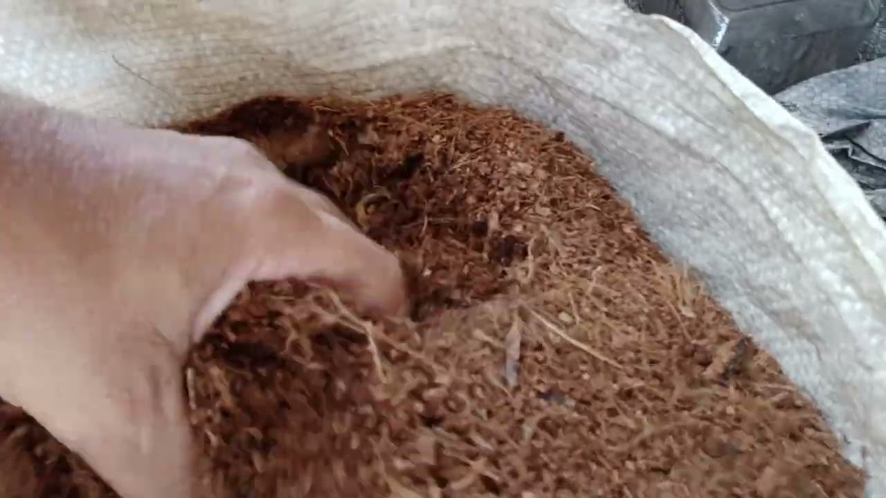 lixo orgânico transformado em adubo.👨‍🌾