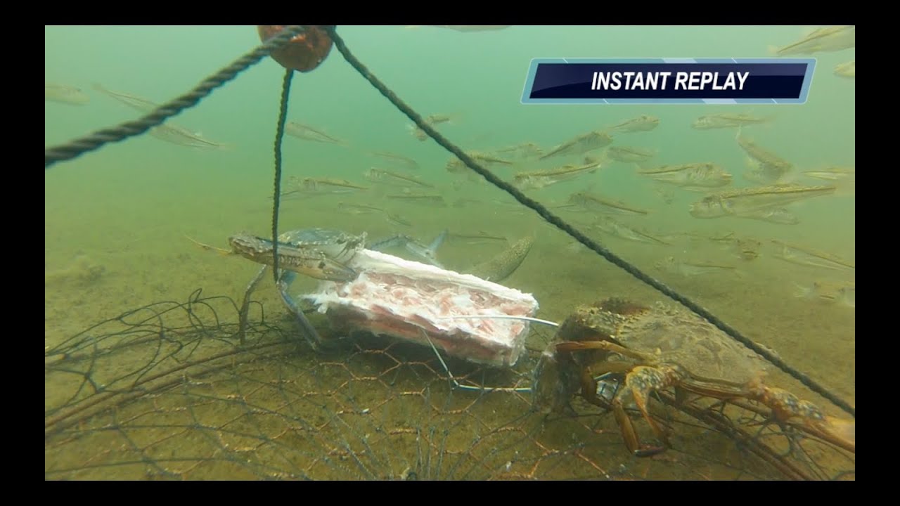 CRABBING MANDURAH WA - GoPro CrabNET - Super Clear HD Vision