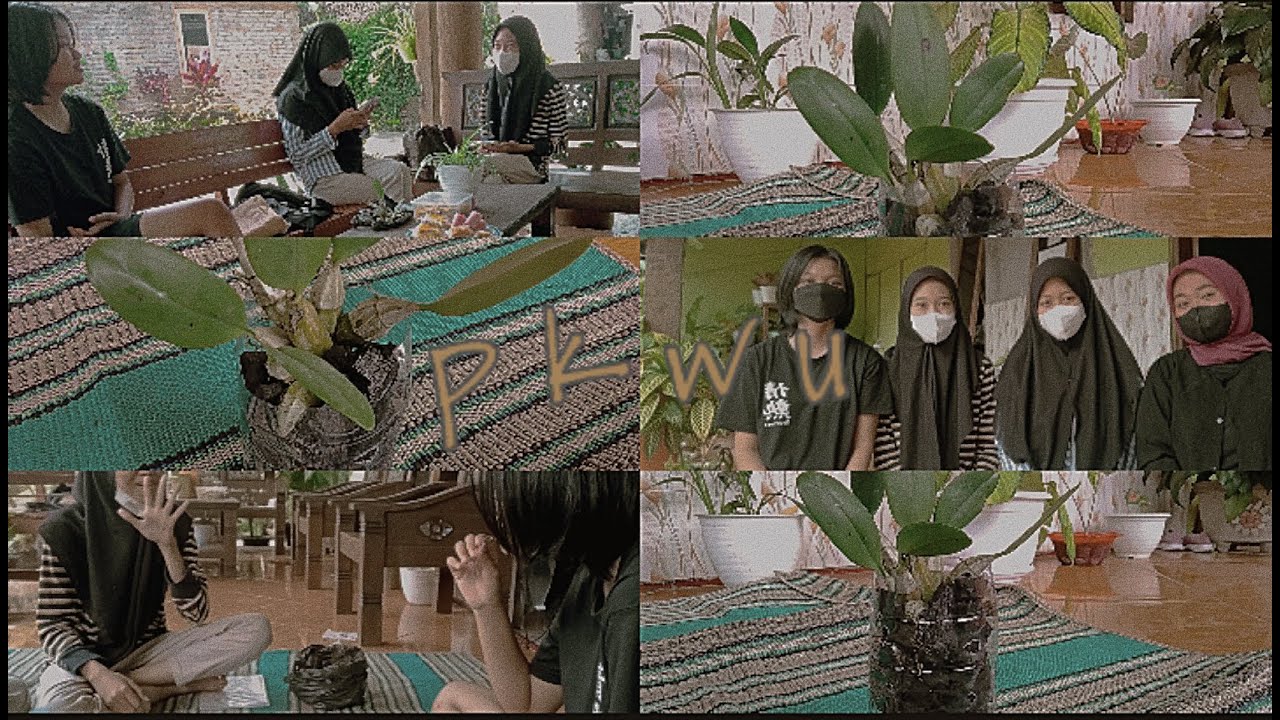 - BUDIDAYA TANAMAN HIAS ANGGREK (ORCHIDACEAE) -