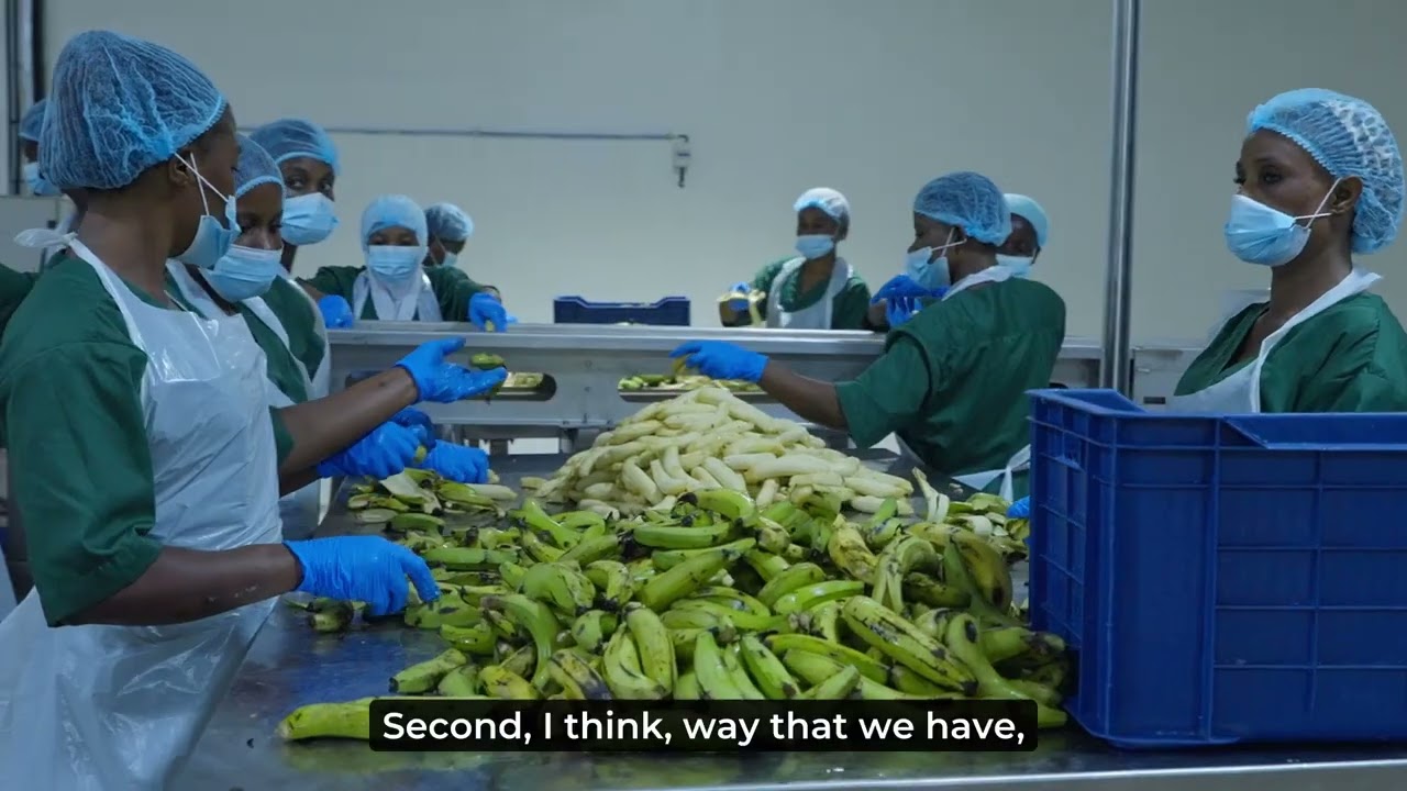 Alitheia IDF Fund Impact Story: ReelFruit