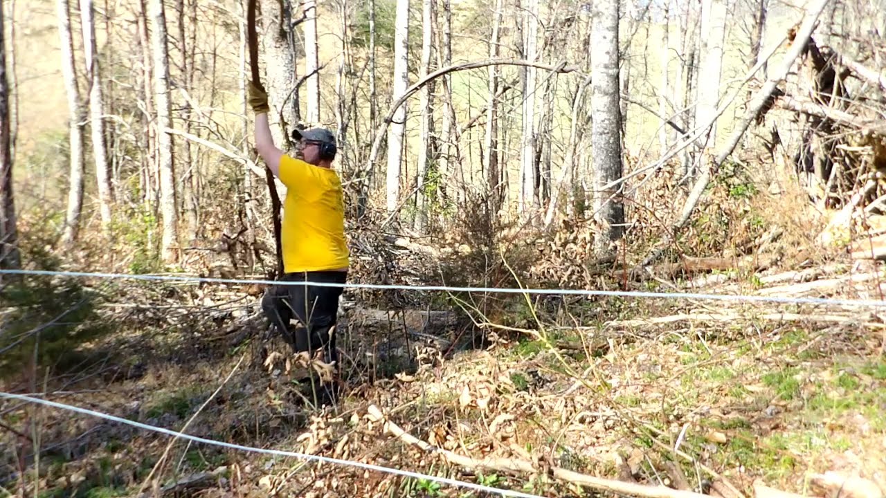 A little bit of chainsaw action.