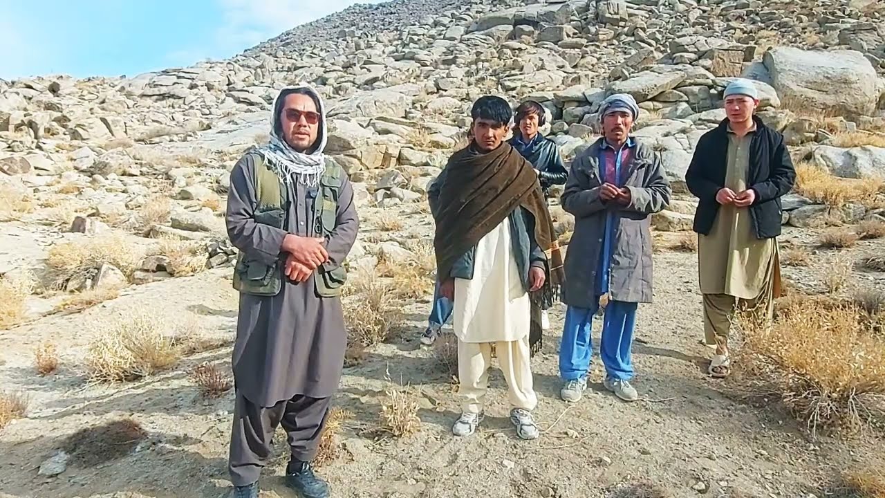 طبیعت# بزر افشانی تخم جنگلات# آینده سبز#