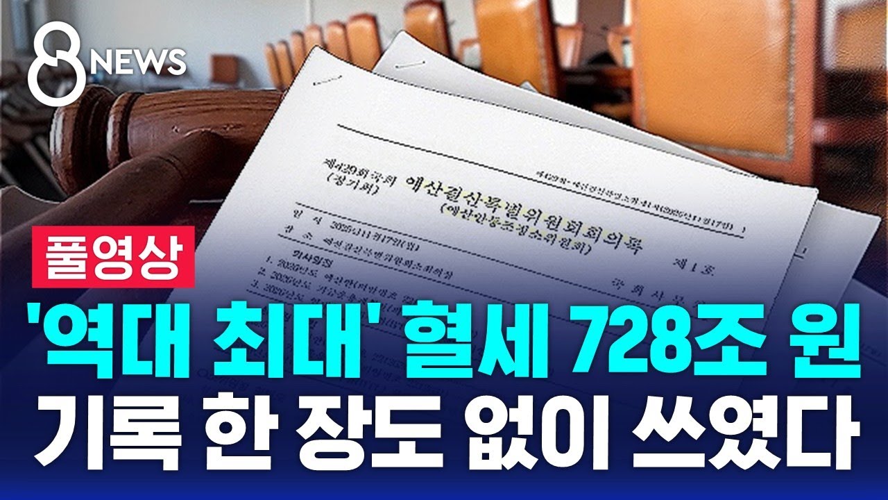 '역대 최대' 혈세 728조 원…기록 한 장도 없이 쓰였다 (풀영상) / SBS