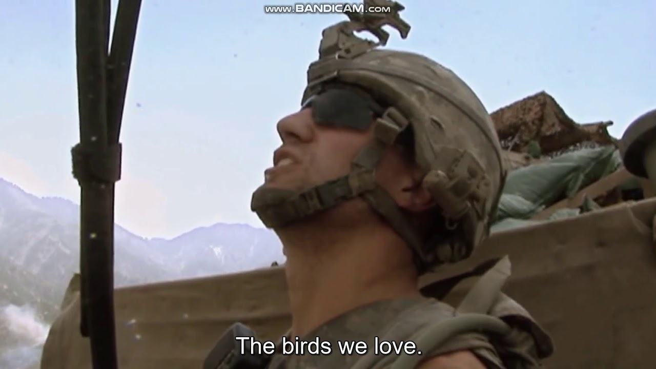 The Birds We Love (Restrepo 2010)